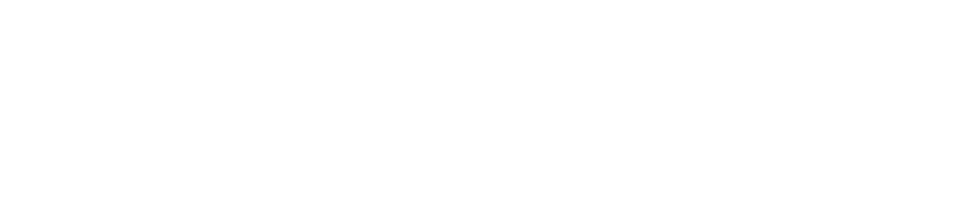 Stocky Pro Logo